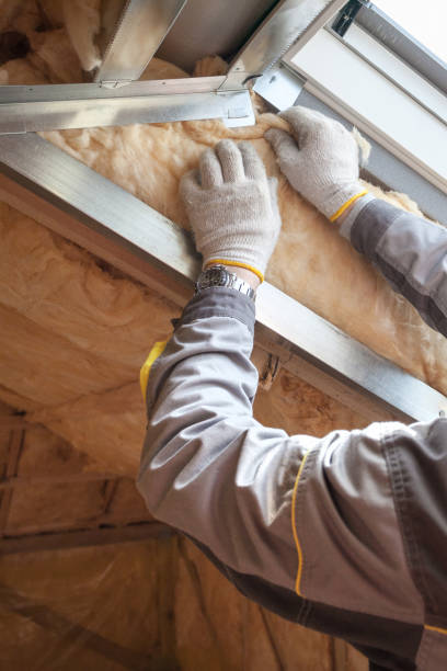 Best Insulation for Specific Applications in Conestee, SC