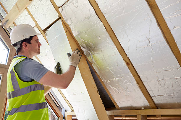 Best Insulation Installation Services in Conestee, SC